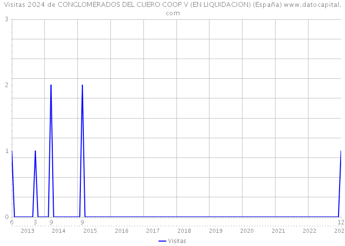 Visitas 2024 de CONGLOMERADOS DEL CUERO COOP V (EN LIQUIDACION) (España) 