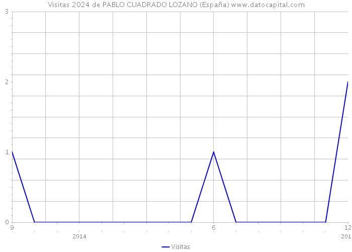 Visitas 2024 de PABLO CUADRADO LOZANO (España) 