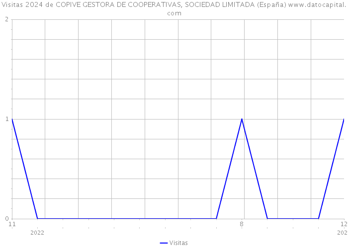 Visitas 2024 de COPIVE GESTORA DE COOPERATIVAS, SOCIEDAD LIMITADA (España) 