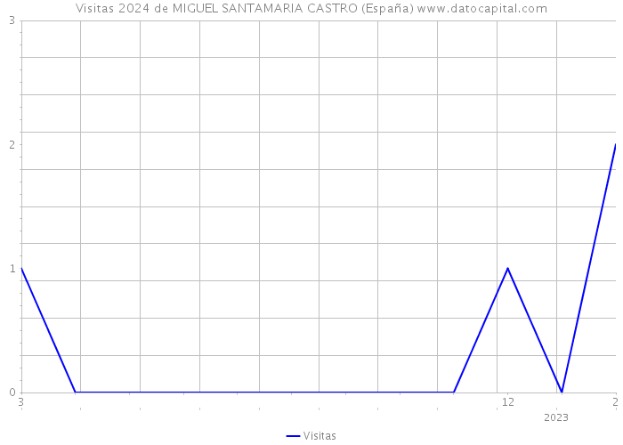 Visitas 2024 de MIGUEL SANTAMARIA CASTRO (España) 