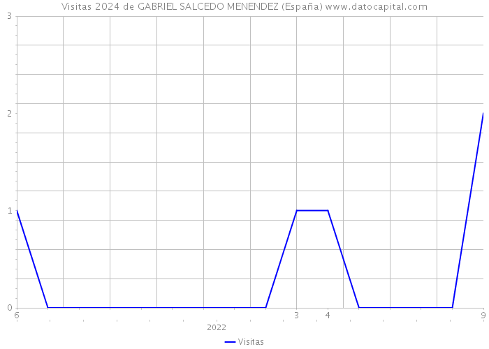 Visitas 2024 de GABRIEL SALCEDO MENENDEZ (España) 