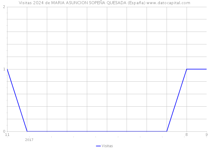 Visitas 2024 de MARIA ASUNCION SOPEÑA QUESADA (España) 