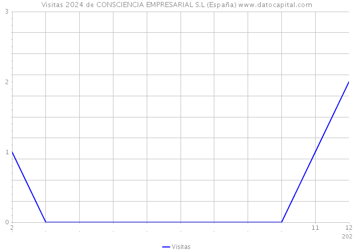 Visitas 2024 de CONSCIENCIA EMPRESARIAL S.L (España) 