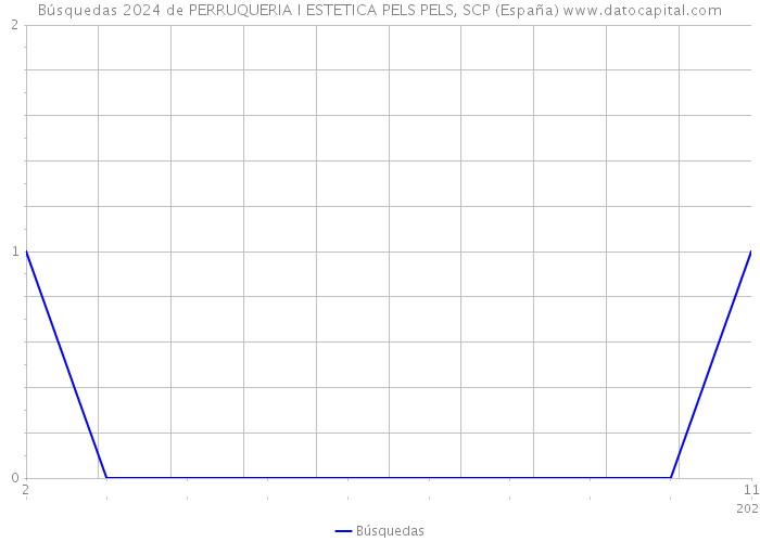 Búsquedas 2024 de PERRUQUERIA I ESTETICA PELS PELS, SCP (España) 