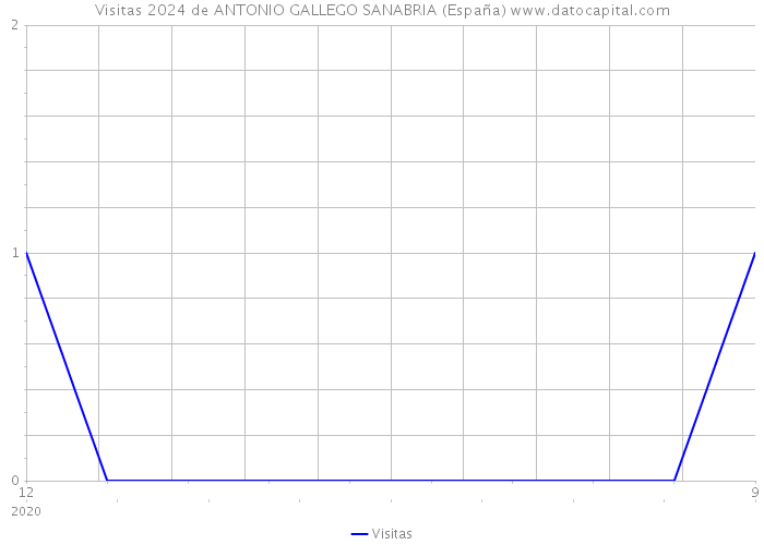 Visitas 2024 de ANTONIO GALLEGO SANABRIA (España) 