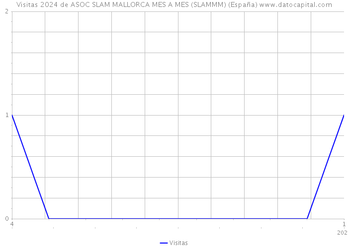 Visitas 2024 de ASOC SLAM MALLORCA MES A MES (SLAMMM) (España) 