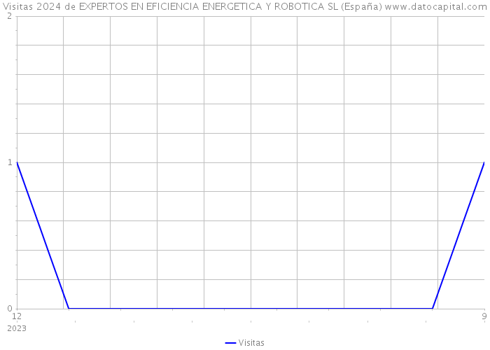 Visitas 2024 de EXPERTOS EN EFICIENCIA ENERGETICA Y ROBOTICA SL (España) 