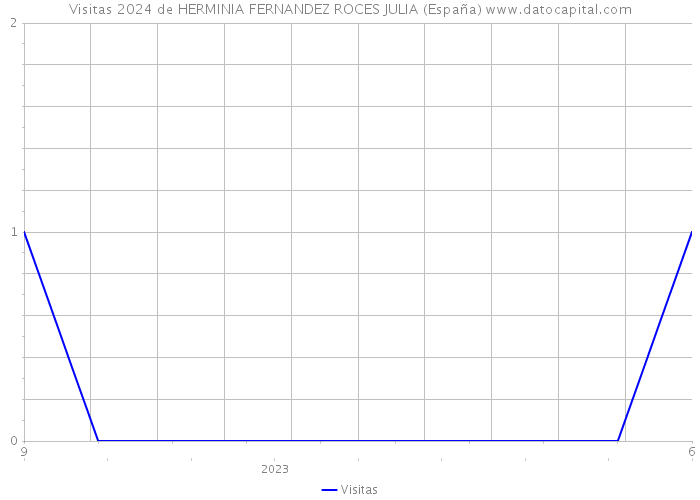Visitas 2024 de HERMINIA FERNANDEZ ROCES JULIA (España) 