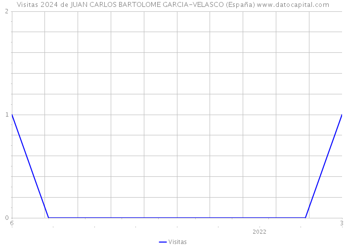 Visitas 2024 de JUAN CARLOS BARTOLOME GARCIA-VELASCO (España) 