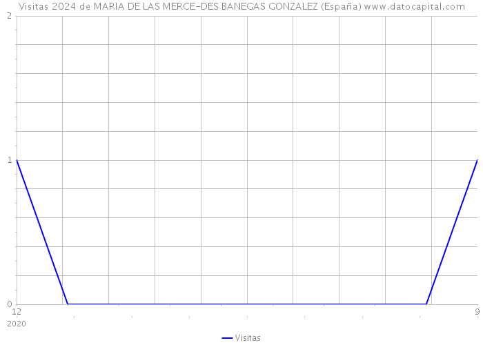 Visitas 2024 de MARIA DE LAS MERCE-DES BANEGAS GONZALEZ (España) 