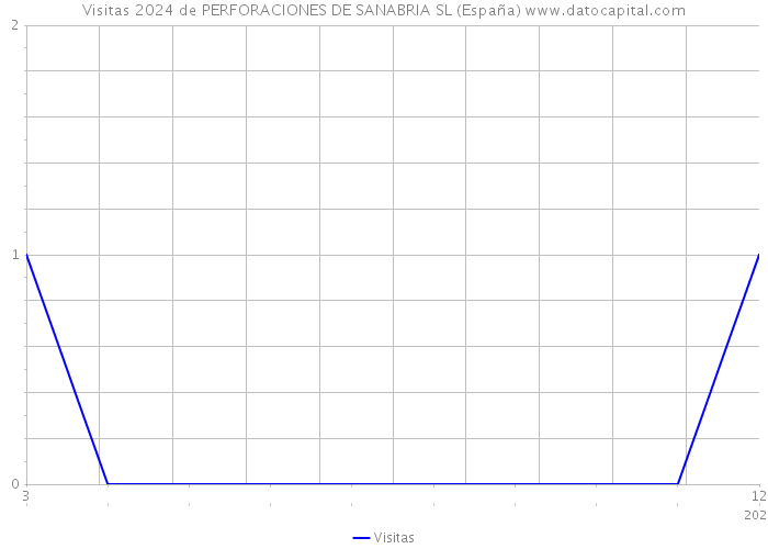 Visitas 2024 de PERFORACIONES DE SANABRIA SL (España) 