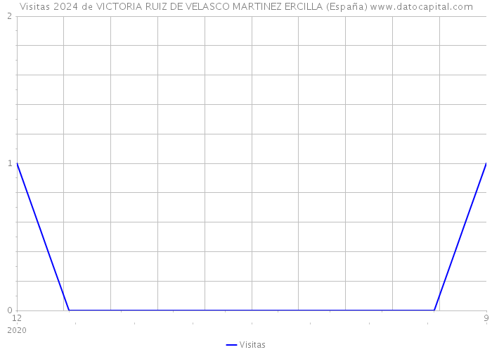 Visitas 2024 de VICTORIA RUIZ DE VELASCO MARTINEZ ERCILLA (España) 