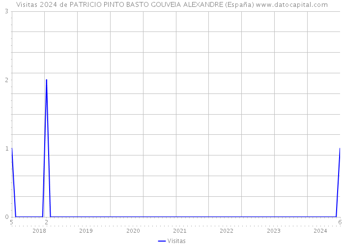 Visitas 2024 de PATRICIO PINTO BASTO GOUVEIA ALEXANDRE (España) 
