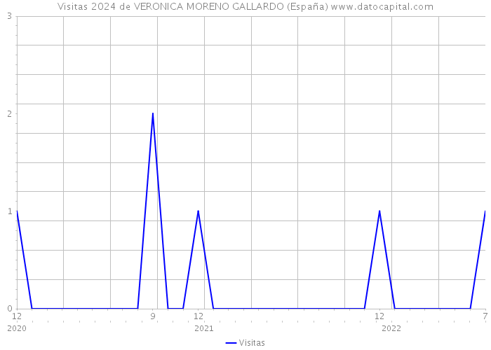 Visitas 2024 de VERONICA MORENO GALLARDO (España) 