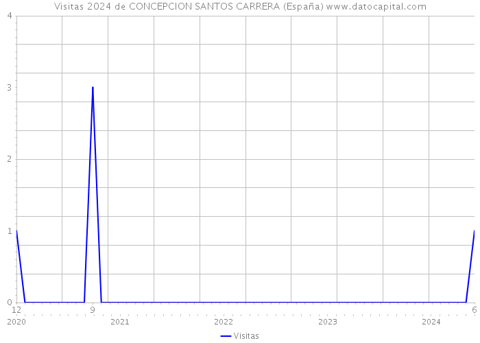 Visitas 2024 de CONCEPCION SANTOS CARRERA (España) 