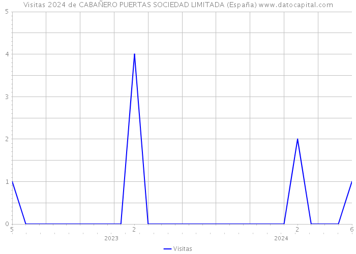 Visitas 2024 de CABAÑERO PUERTAS SOCIEDAD LIMITADA (España) 