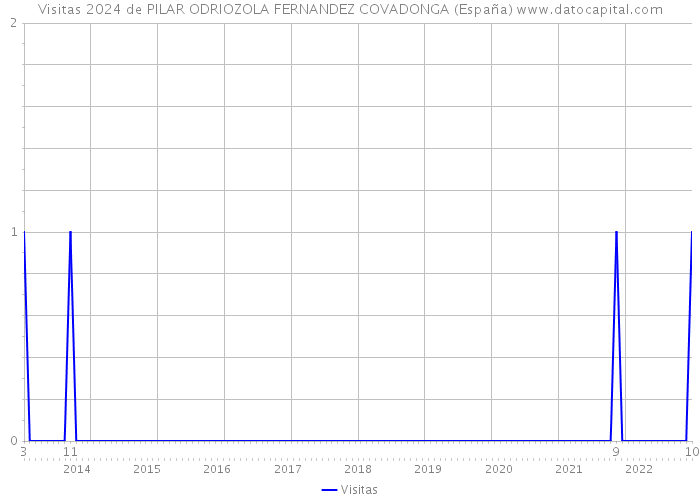 Visitas 2024 de PILAR ODRIOZOLA FERNANDEZ COVADONGA (España) 