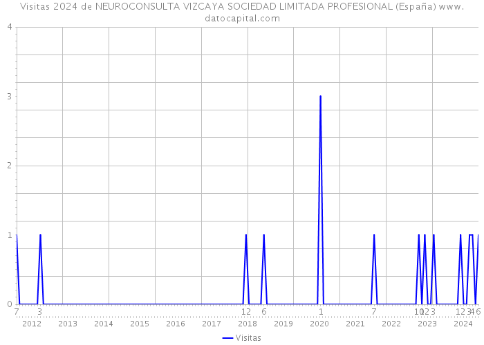 Visitas 2024 de NEUROCONSULTA VIZCAYA SOCIEDAD LIMITADA PROFESIONAL (España) 