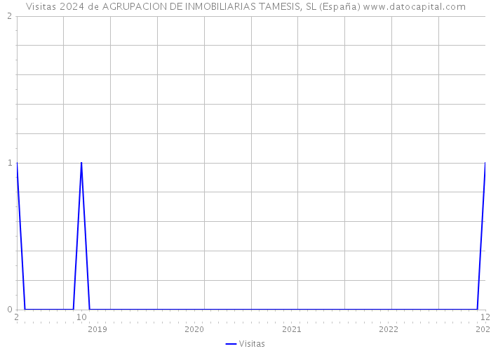 Visitas 2024 de AGRUPACION DE INMOBILIARIAS TAMESIS, SL (España) 