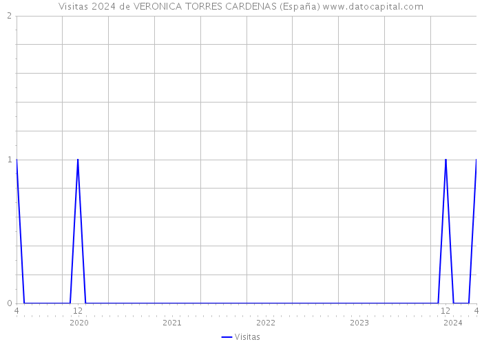 Visitas 2024 de VERONICA TORRES CARDENAS (España) 