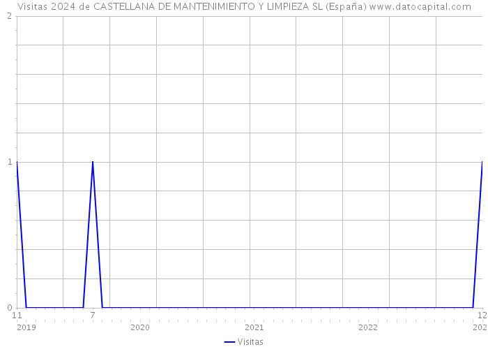 Visitas 2024 de CASTELLANA DE MANTENIMIENTO Y LIMPIEZA SL (España) 