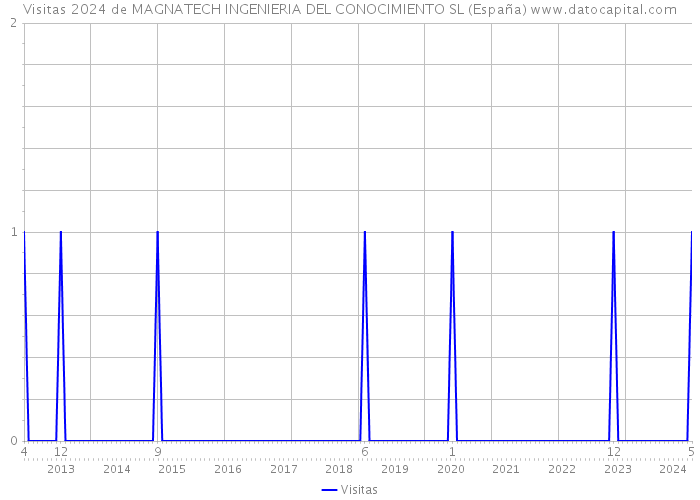 Visitas 2024 de MAGNATECH INGENIERIA DEL CONOCIMIENTO SL (España) 