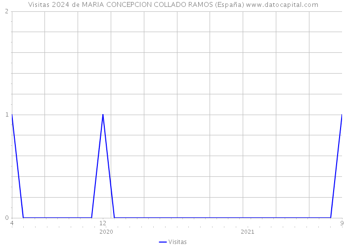 Visitas 2024 de MARIA CONCEPCION COLLADO RAMOS (España) 