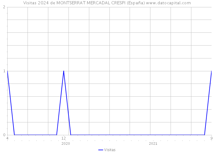 Visitas 2024 de MONTSERRAT MERCADAL CRESPI (España) 