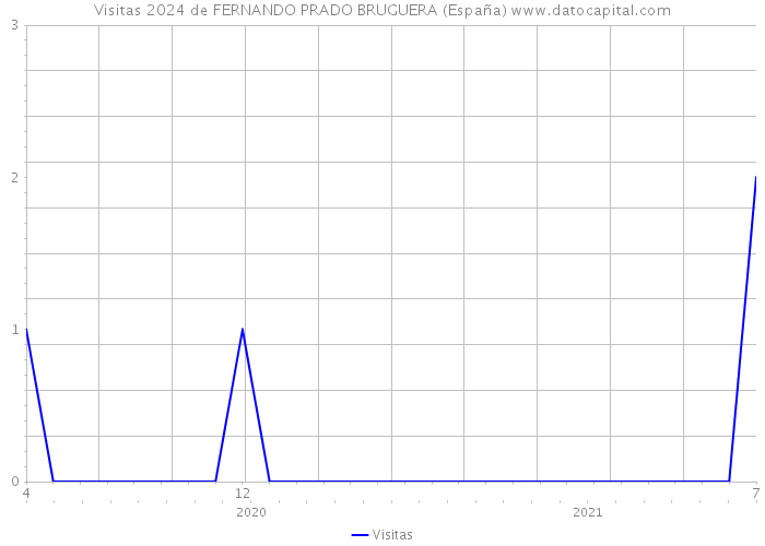 Visitas 2024 de FERNANDO PRADO BRUGUERA (España) 