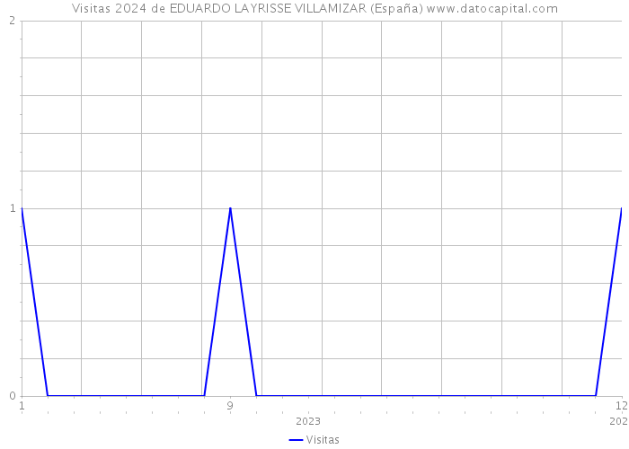 Visitas 2024 de EDUARDO LAYRISSE VILLAMIZAR (España) 