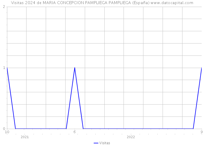 Visitas 2024 de MARIA CONCEPCION PAMPLIEGA PAMPLIEGA (España) 