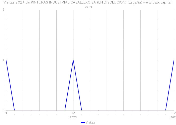Visitas 2024 de PINTURAS INDUSTRIAL CABALLERO SA (EN DISOLUCION) (España) 