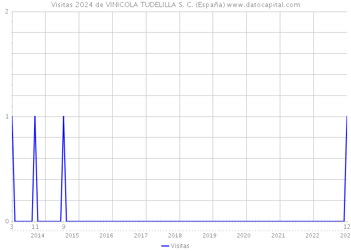 Visitas 2024 de VINICOLA TUDELILLA S. C. (España) 