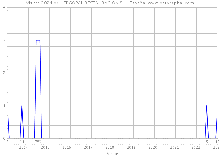 Visitas 2024 de HERGOPAL RESTAURACION S.L. (España) 