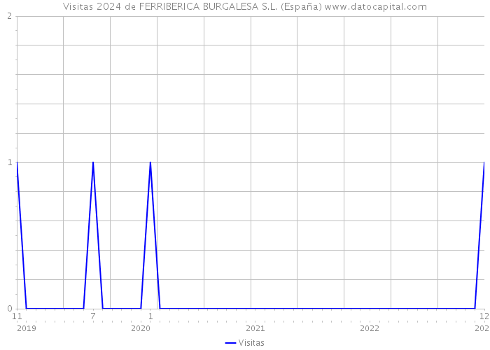 Visitas 2024 de FERRIBERICA BURGALESA S.L. (España) 