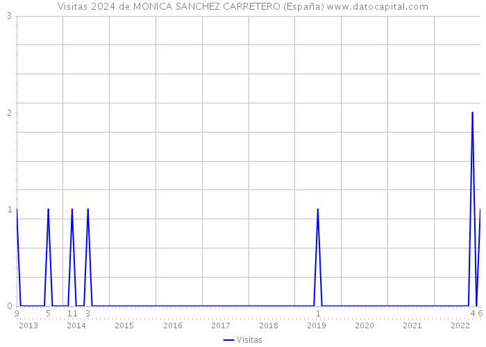 Visitas 2024 de MONICA SANCHEZ CARRETERO (España) 