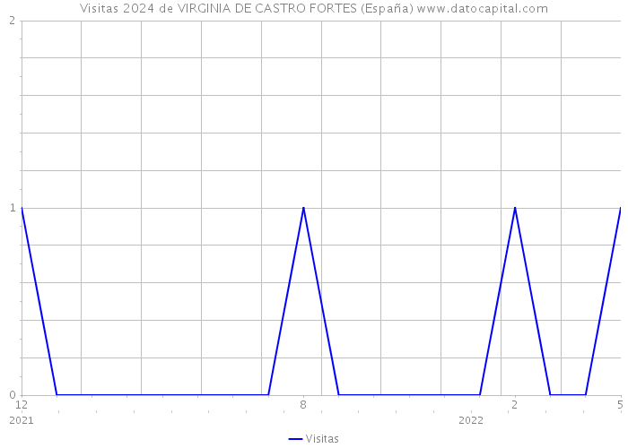 Visitas 2024 de VIRGINIA DE CASTRO FORTES (España) 