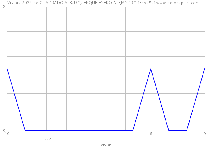Visitas 2024 de CUADRADO ALBURQUERQUE ENEKO ALEJANDRO (España) 