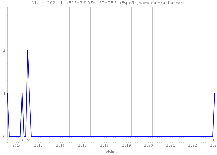 Visitas 2024 de VERSARIS REAL STATE SL (España) 