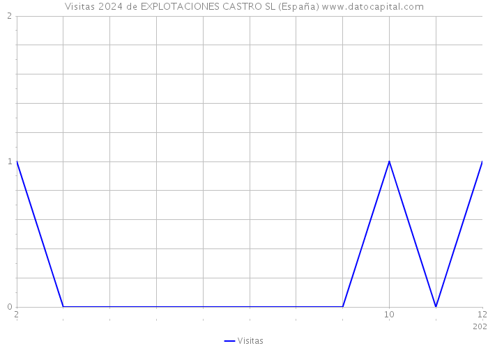 Visitas 2024 de EXPLOTACIONES CASTRO SL (España) 
