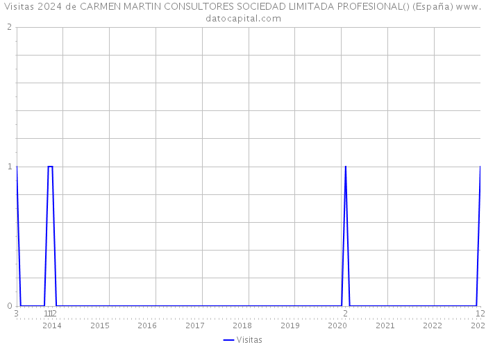 Visitas 2024 de CARMEN MARTIN CONSULTORES SOCIEDAD LIMITADA PROFESIONAL() (España) 