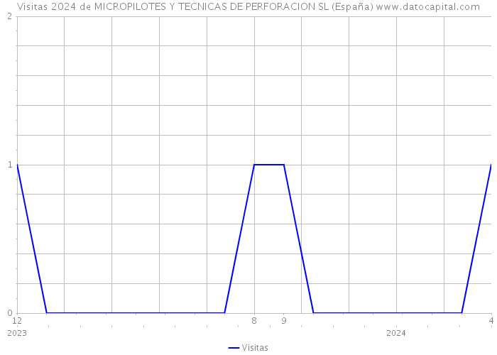 Visitas 2024 de MICROPILOTES Y TECNICAS DE PERFORACION SL (España) 