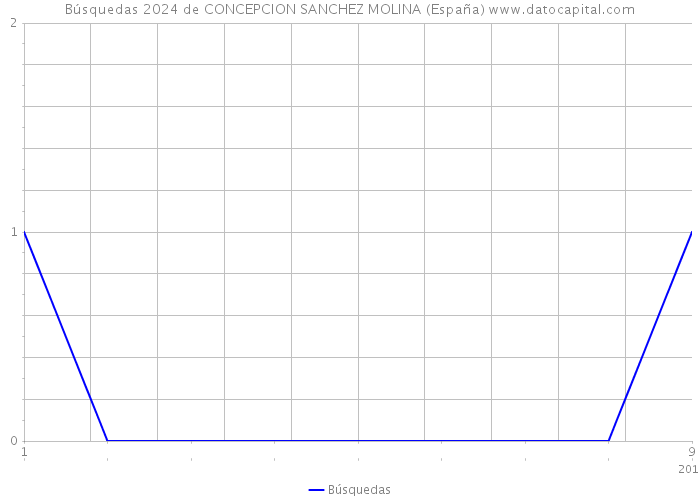 Búsquedas 2024 de CONCEPCION SANCHEZ MOLINA (España) 