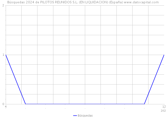 Búsquedas 2024 de PILOTOS REUNIDOS S.L. (EN LIQUIDACION) (España) 