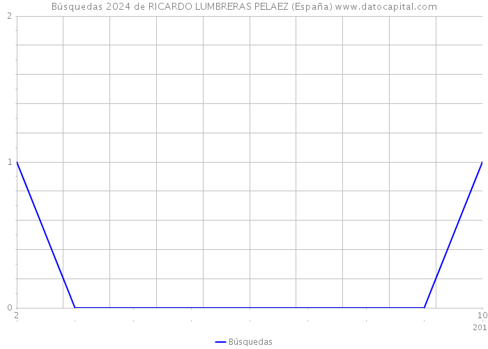 Búsquedas 2024 de RICARDO LUMBRERAS PELAEZ (España) 