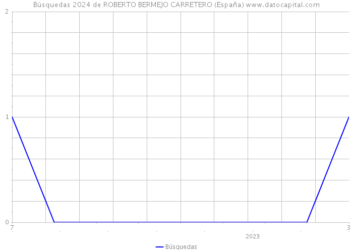 Búsquedas 2024 de ROBERTO BERMEJO CARRETERO (España) 