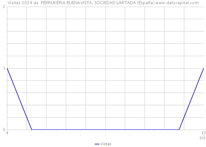 Visitas 2024 de  PERRUKERIA BUENAVISTA, SOCIEDAD LIMITADA (España) 
