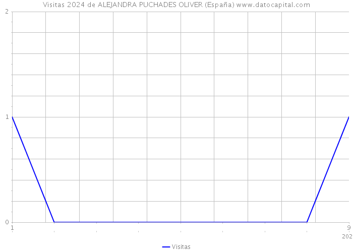 Visitas 2024 de ALEJANDRA PUCHADES OLIVER (España) 