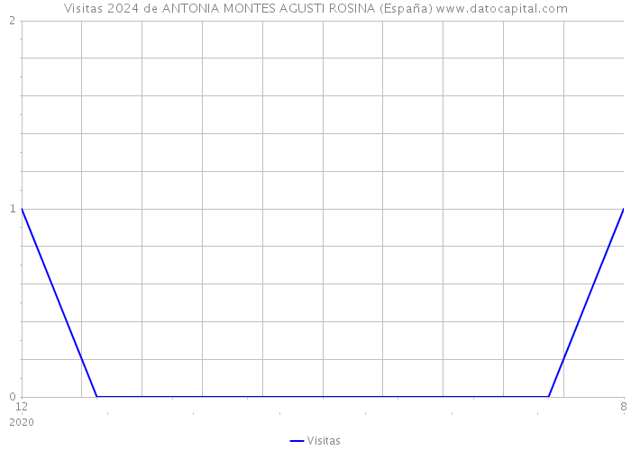 Visitas 2024 de ANTONIA MONTES AGUSTI ROSINA (España) 
