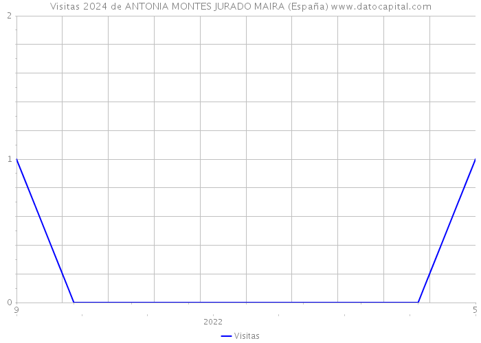 Visitas 2024 de ANTONIA MONTES JURADO MAIRA (España) 